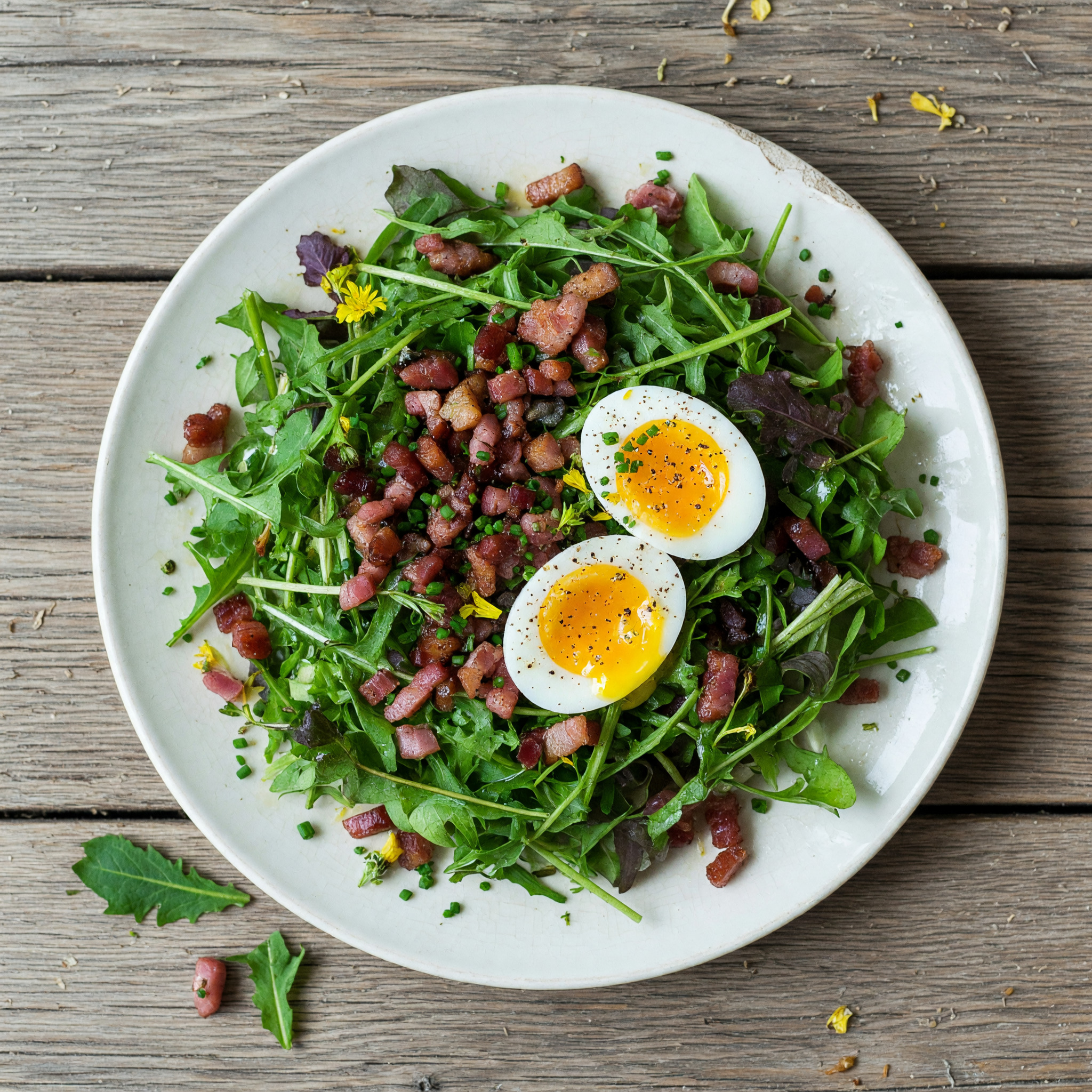 Frischer Löwenzahnsalat mit Speck und Ei